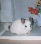 Oscar
