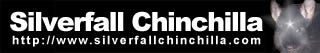 Silverfall Chinchillas