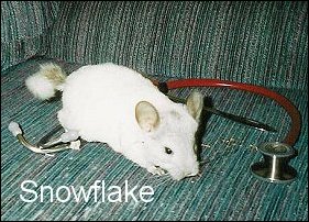 Snowflake